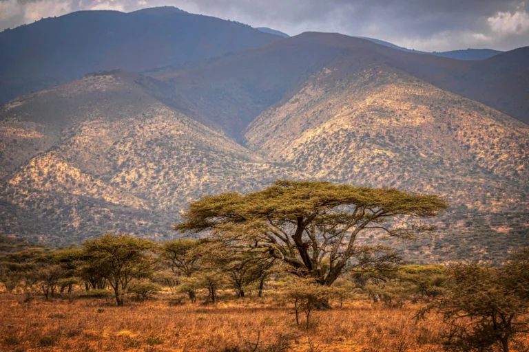 Área de Conservación del Ngorongoro en Tanzania