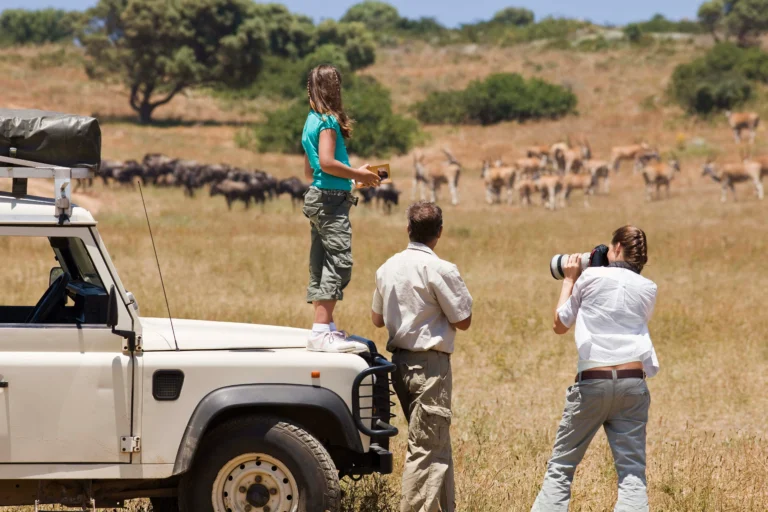 Sudáfrica, Kenia, Tanzania, Uganda, Ruanda, Namibia, Botsuana, Zimbabue y Zambia