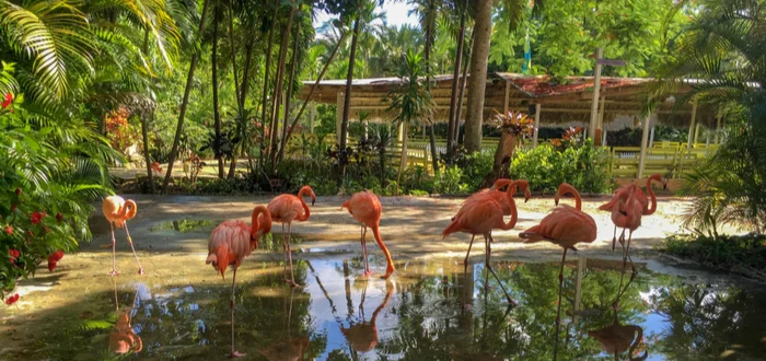 Caribe diferente: Las Bahamas