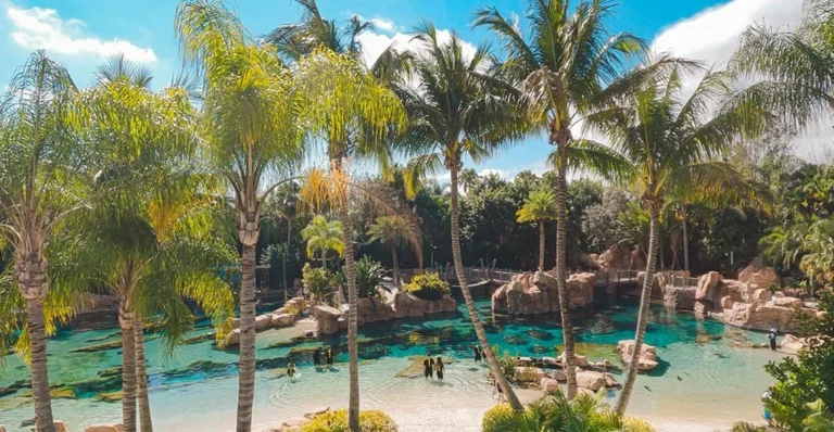 Discovery Cove Orlando