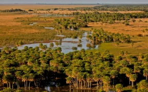 Esteros del Iberá paquete 3 noches