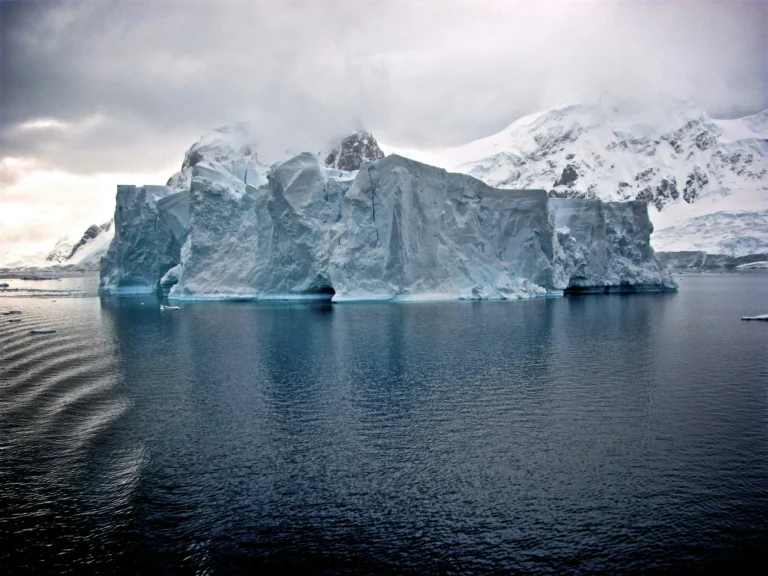 crucero a la Antártida