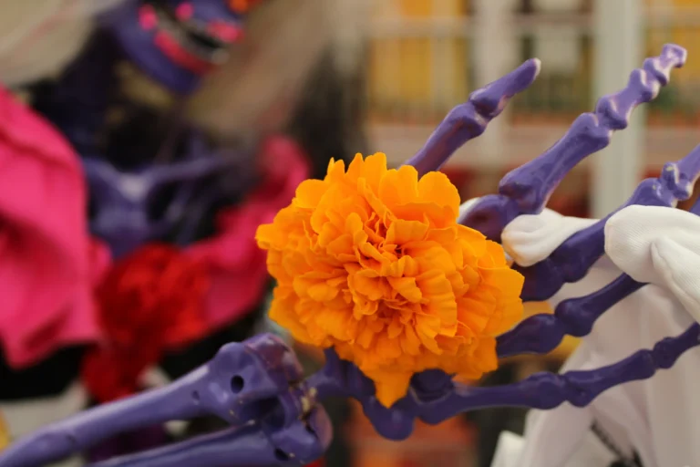 Viaje Día de Muertos en México 2026