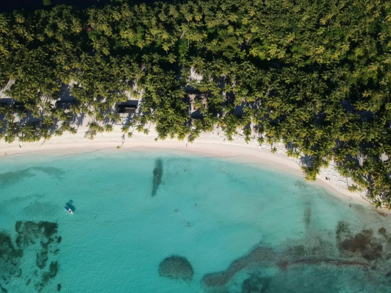 vuelos a Punta Cana