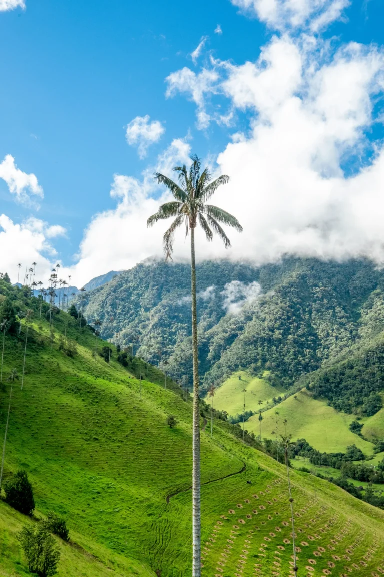 viaje a Colombia