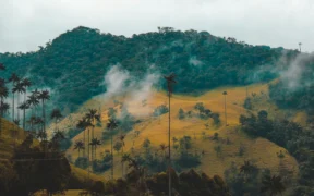 viaje a Colombia