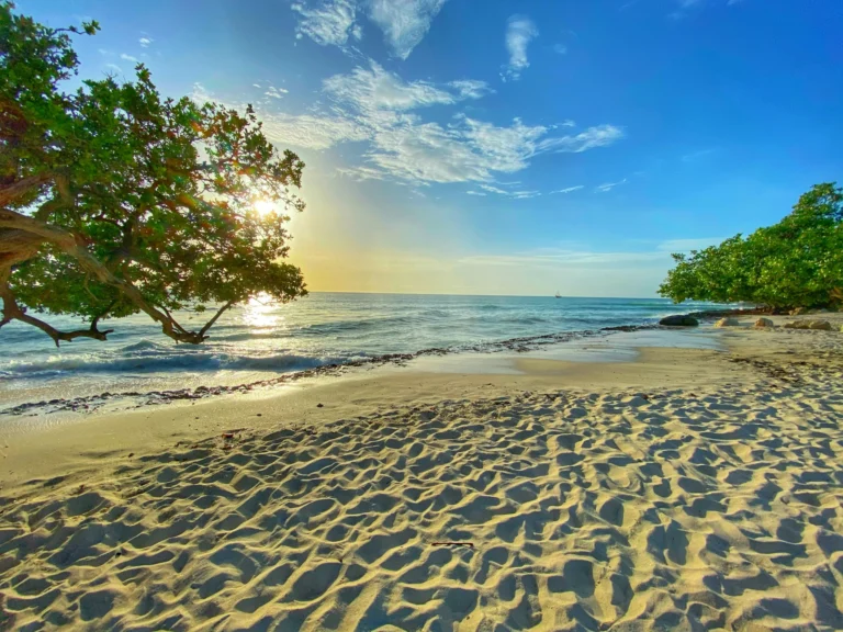 viajes a Aruba