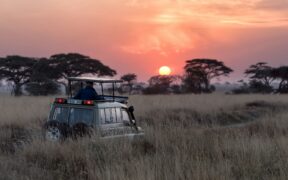 safaris en África
