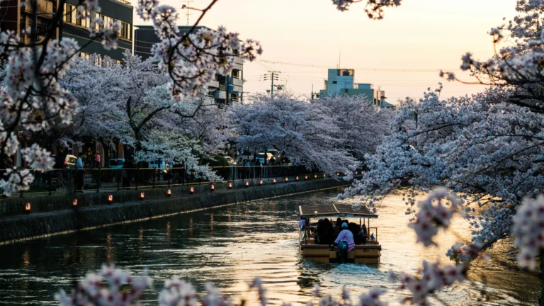 Japón Sakura 2027