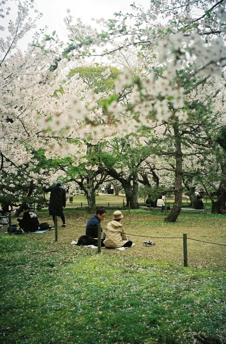 Japón Sakura 2027