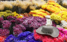 Feria de las Flores Medellín