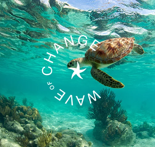 turismo responsable