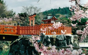 viaje a Japón
