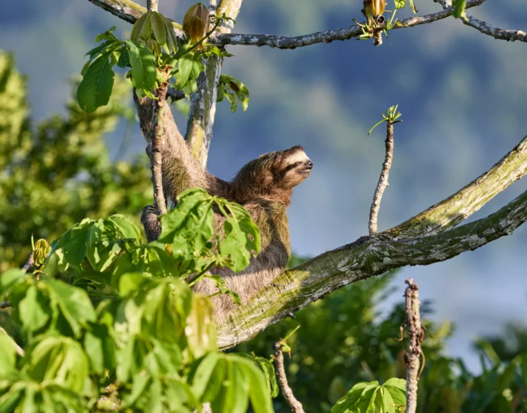 viaje a Costa Rica