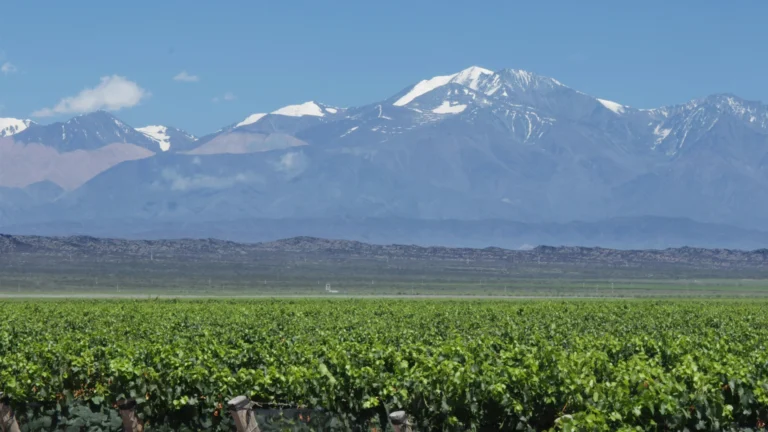 Mendoza con auto