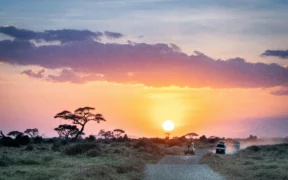 Safari en Kenia