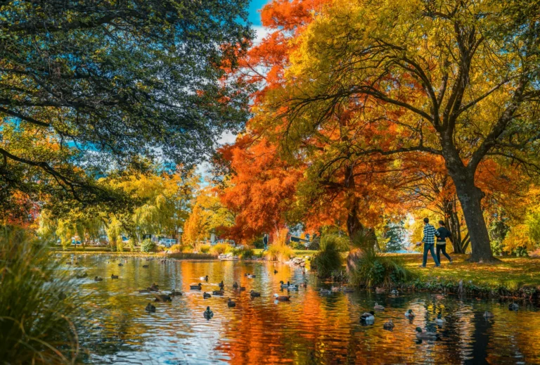 Viajes a Nueva Zelanda