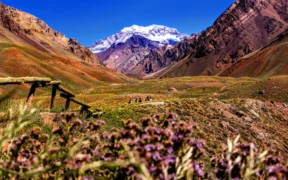 Mendoza con auto