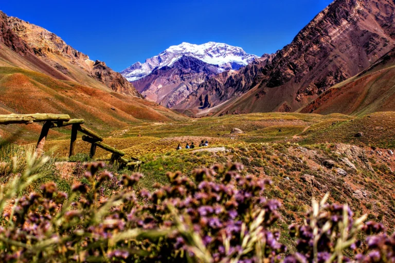 Mendoza con auto