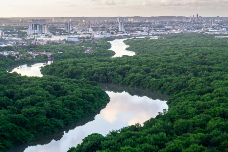 vuelos a Recife
