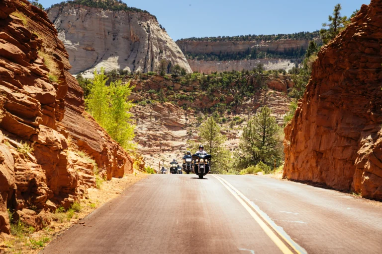 Ruta en Harley-Davidson por California