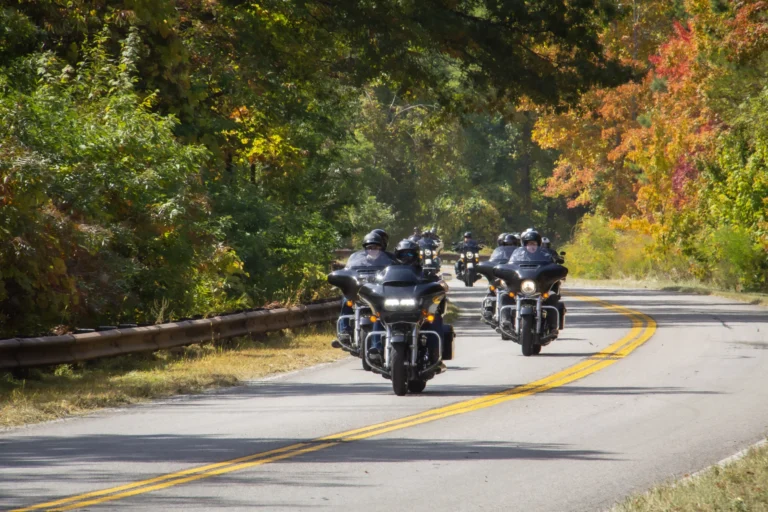 Ruta en Harley-Davidson por California