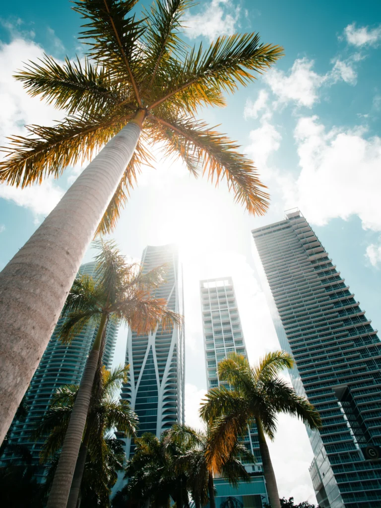 Vuelos a Miami
