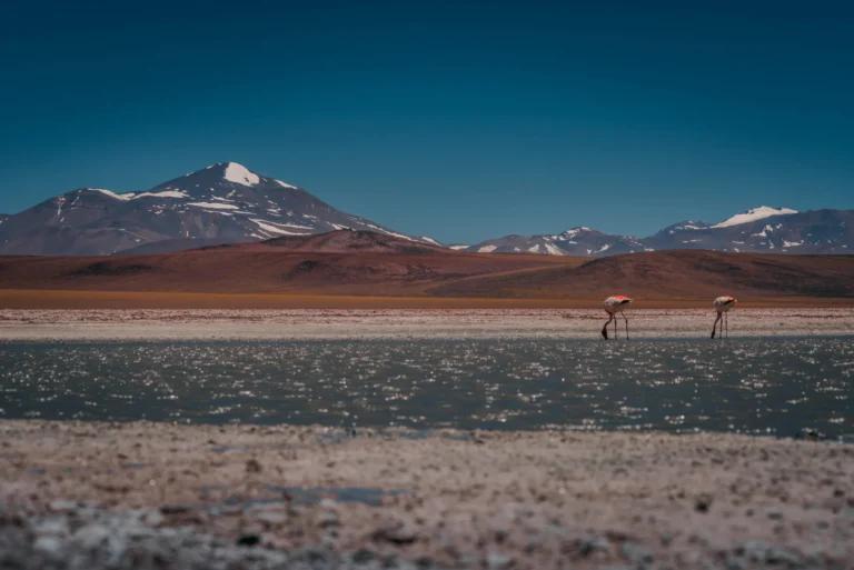 circuito Talampaya Valle de la Luna y Laguna Brava