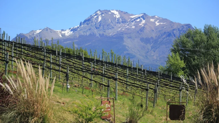 eclipse solar 2027 Patagonia