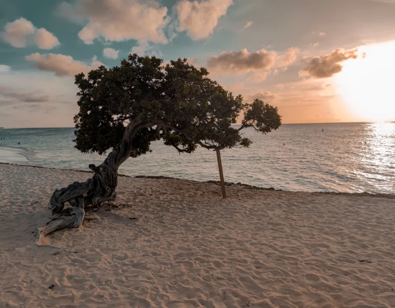 Paquetes a Aruba desde Buenos Aires