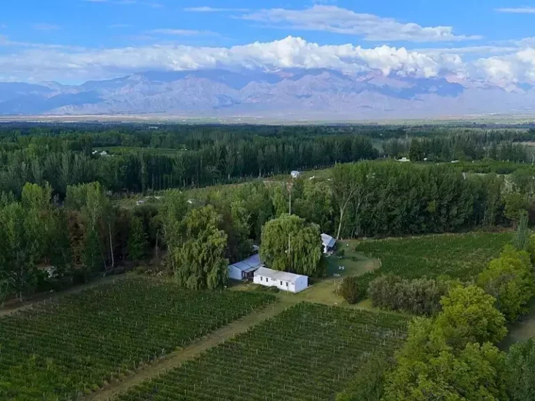 Escapada al Valle de Uco