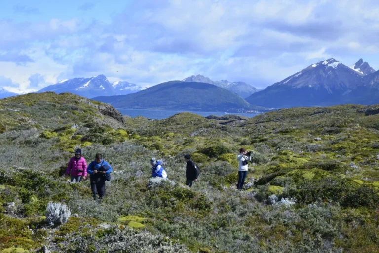 paquete Ushuaia y El Calafate