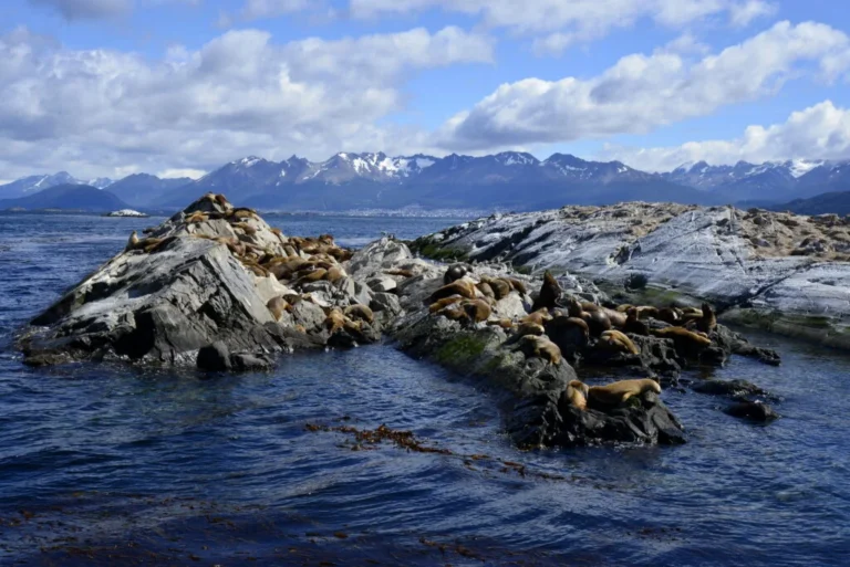 paquete Ushuaia y El Calafate