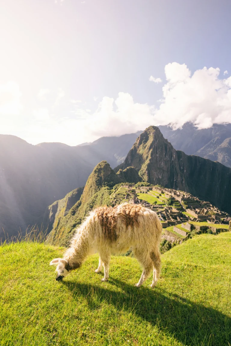 Paquete a Perú en 8 días