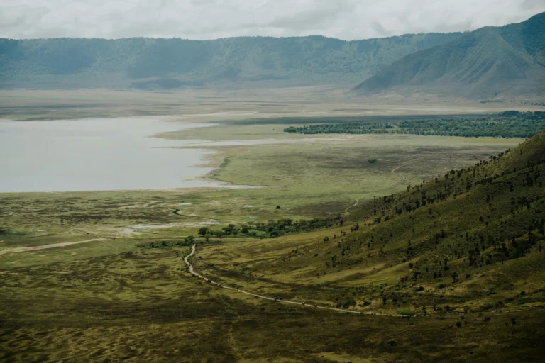 safari en Kenia o Tanzania con Zanzíbar