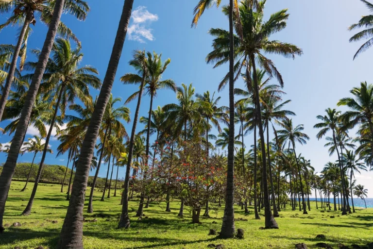 viaje a Isla de Pascua